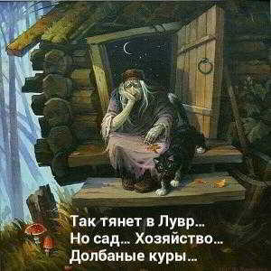Рентабельность содержания кур несушек Рентабельность содержания кур несушек
