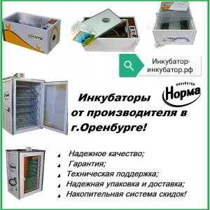 Инкубаторы с доставкой по акции &mdash; качество и возможность заработать