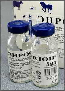Энрофлон — эффективный антибиотик для курочек Энрофлон — эффективный антибиотик для курочек