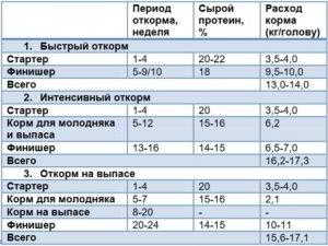 Пурина &ndash; комбикорм с идеальным сбалансированным составом