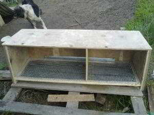 Изготавливаем домик для самых маленьких цыплят Изготавливаем домик для самых маленьких цыплят