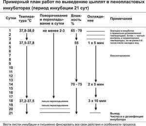 Температура выведения цыплят в инкубаторе – таблица Температура выведения цыплят в инкубаторе – таблица