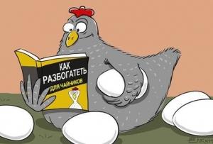 Как заработать на курином бизнесе &ndash; поэтапный план