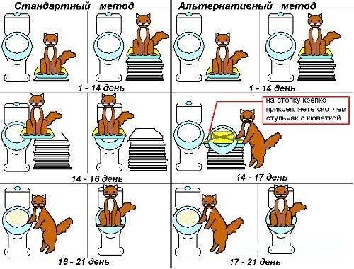 Унитаз для кошек &ndash; максимум комфорта для мохнатого члена семьи