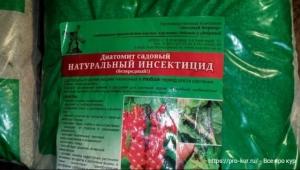 Клещи у кур фото и способы борьбы препаратами