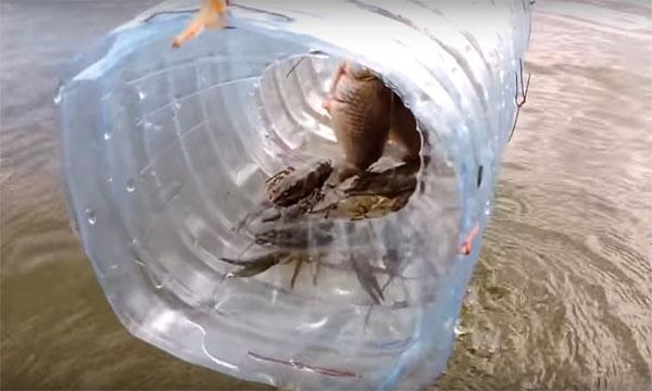 Раколовка из бутылок: фото, видео изготовления