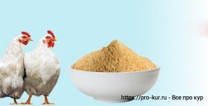 Практические аспекты использования мясокостной муки в рационе кур Практические аспекты использования мясокостной муки в рационе кур