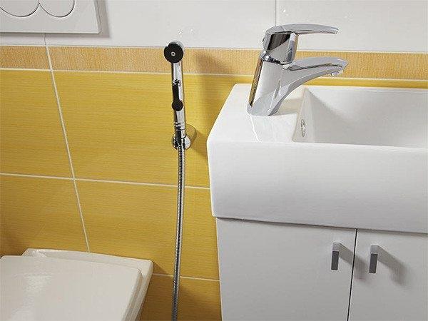 Унитаз с гигиеническим душем и его виды