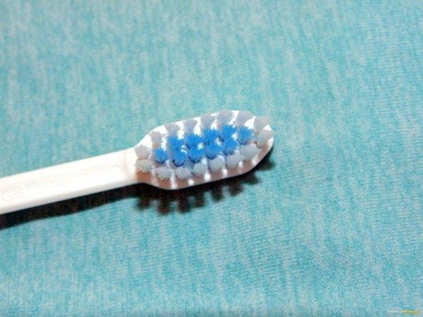 Как часто необходимо менять зубную щетку