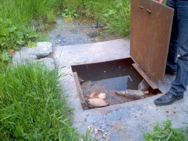 Канализационные лестницы: основные виды и их описание
