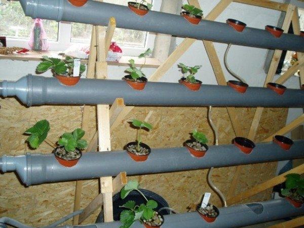 Кормушка для кур из канализационной трубы и другие полезные поделки из остатков ПВХ-труб Кормушка для кур из канализационной трубы и другие полезные поделки из остатков ПВХ-труб