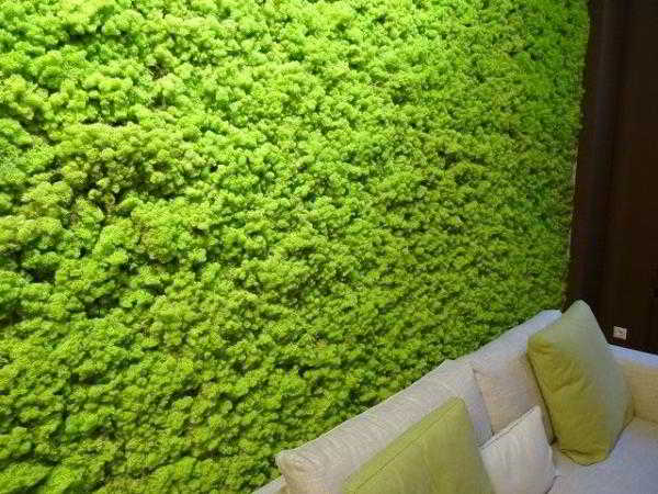 Варианты искусственного мха для декора стен Варианты искусственного мха для декора стен