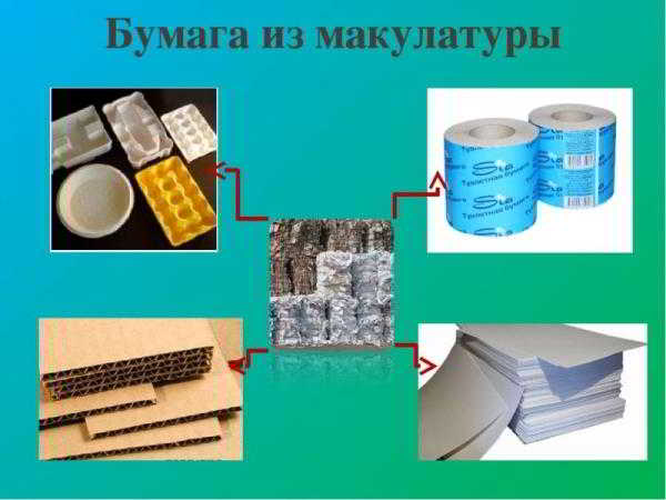 Как перерабатывается картон и бумага (макулатура) Как перерабатывается картон и бумага (макулатура)