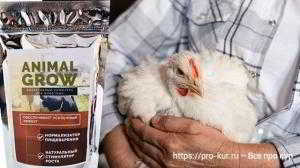 Стимулятор роста Animal Grow для кур Стимулятор роста Animal Grow для кур