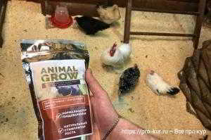 Стимулятор роста Animal Grow для кур Стимулятор роста Animal Grow для кур