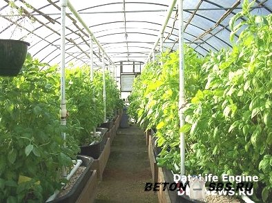 Проф подход к выбору плиткореза Проф подход к выбору плиткореза